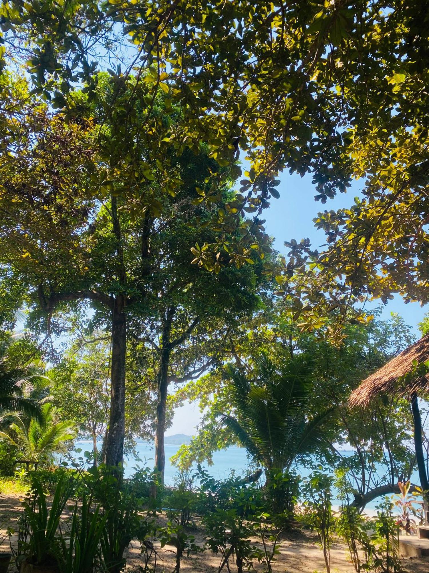 Banana Resort Koh Phayam Luaran gambar